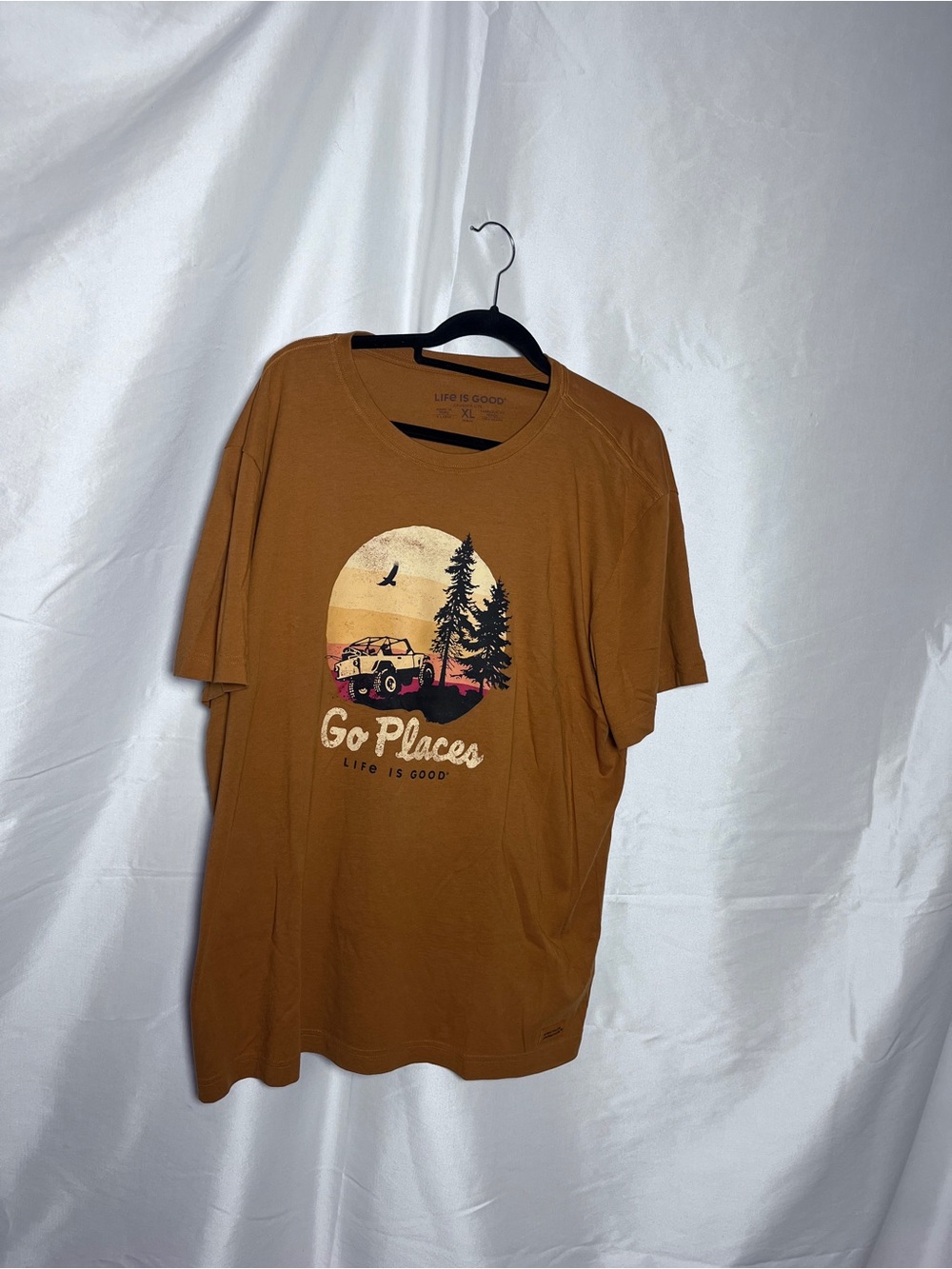 Life Is Good Men's Brown 'Go Places' Graphic Tee